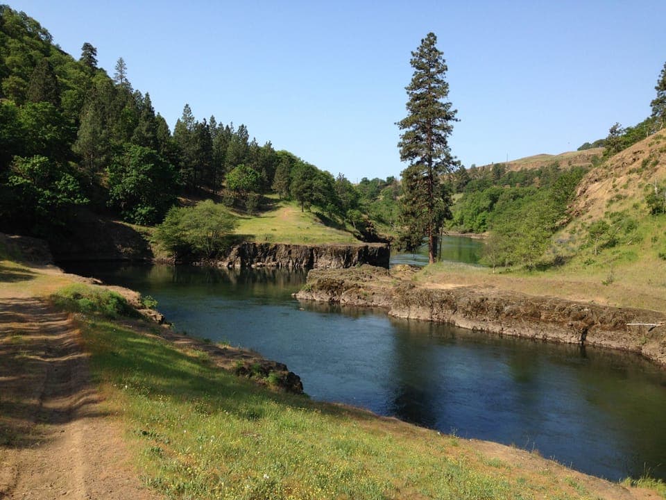 The Klickitat Trailhead is 5mins away, great for hiking biking or eagle watching