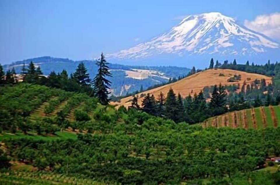 Majestic Mt. Adam's and surrounding countryside