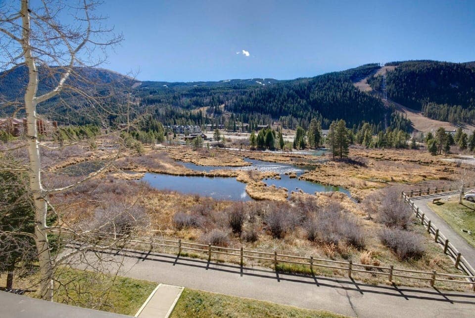 Wide angle shot distorts distance.  Beaver ponds are much closer in actual view.