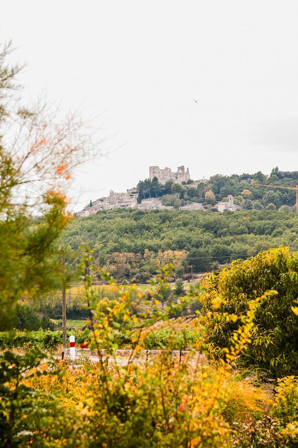 View of Chateau Lacoste from the garden