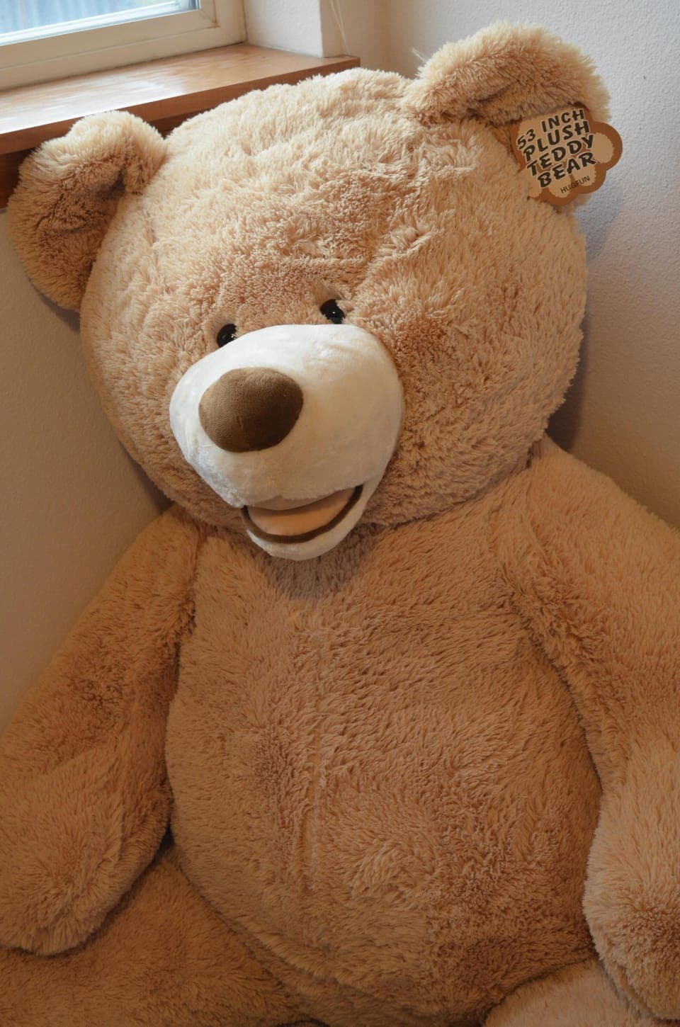 You'll be beary comfortable here! Trust me! -Bear