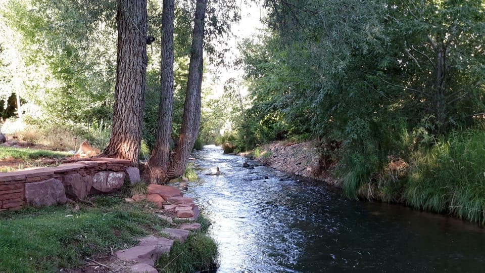 yard, hike, play creekside all-day 
for info   562 - 508-6555