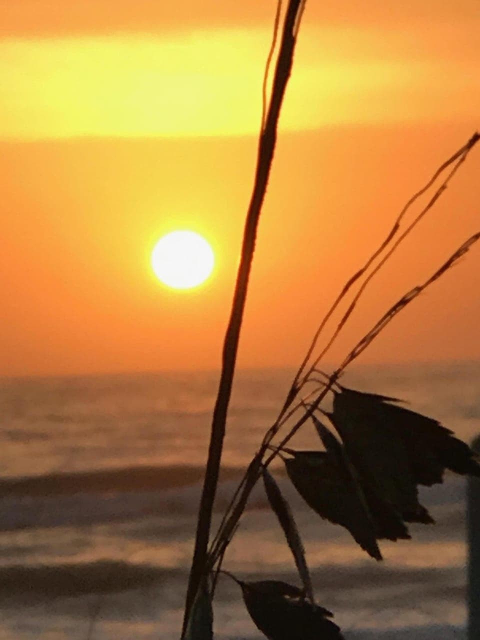 Beautiful West Coast Sunsets