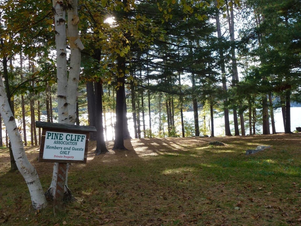 grassy area above the dock for picnics and games