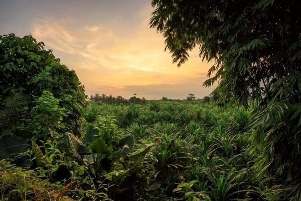 Romantic&Luxury 1 BDR villa canggu-Bali