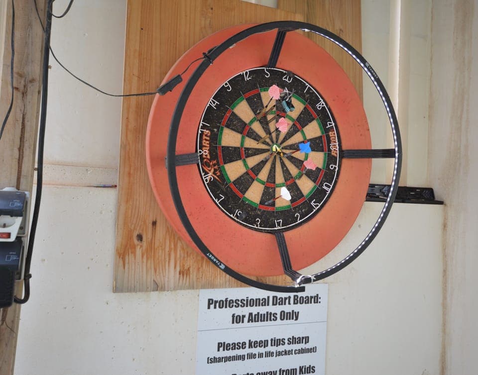 Professional Blade Dartboard with led ring