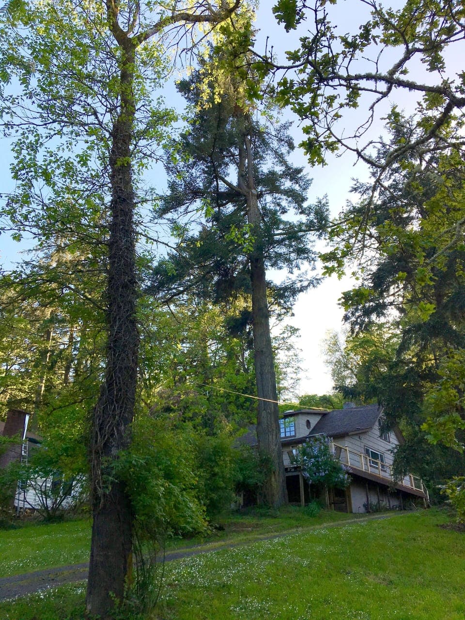 The house is set-back from the street.