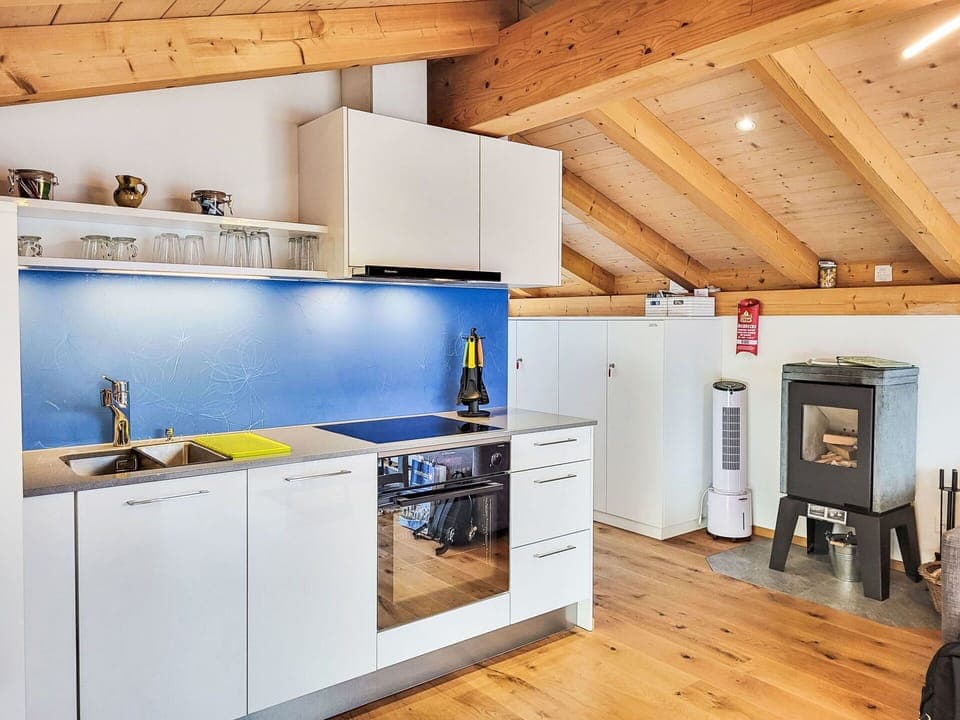 Kitchen, Major Appliance, Wood, Flooring, Ceiling, Interior Design, Kitchen Appliance, Floor, Countertop, Room