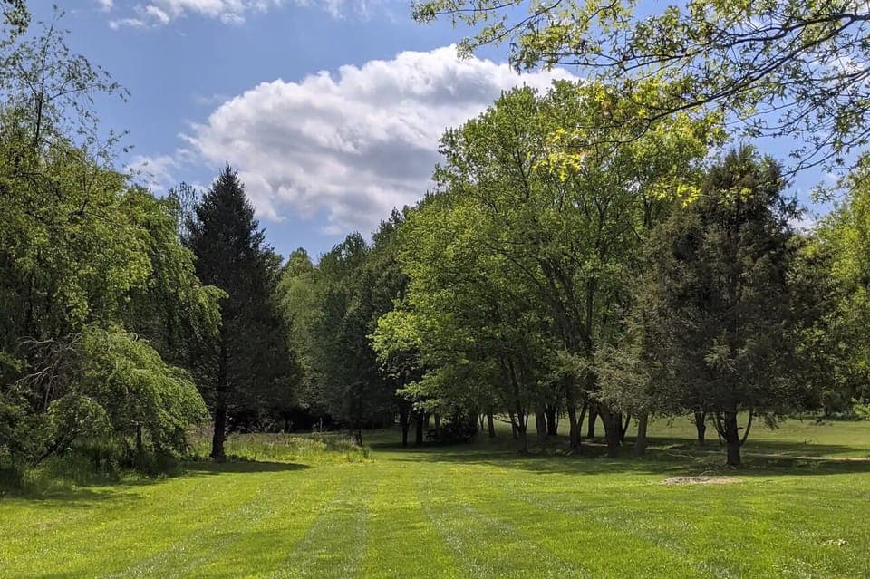 Beautiful tree-lined driveway with an abundance of trees throughout.