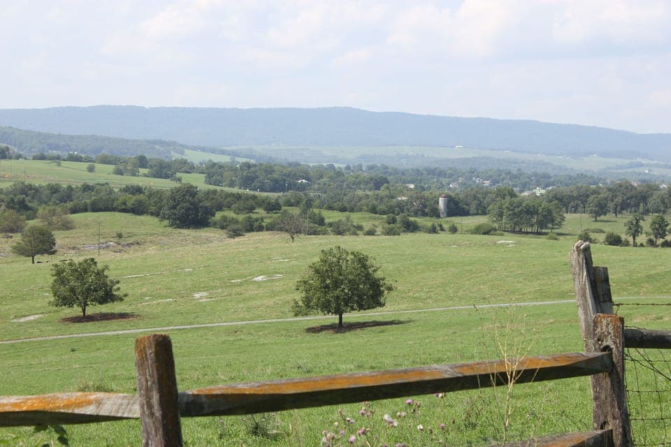 Vista