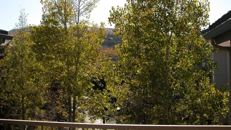 View from balcony