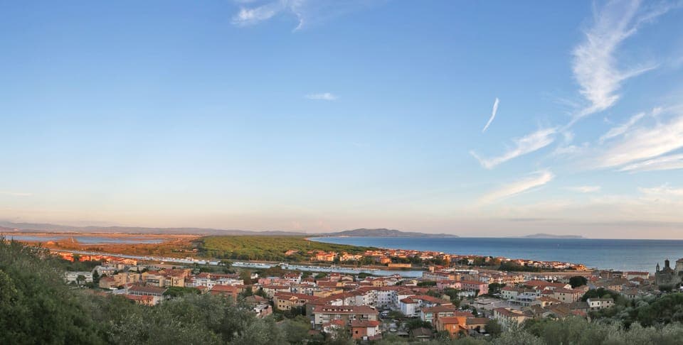 View of the marsh and of the coastline