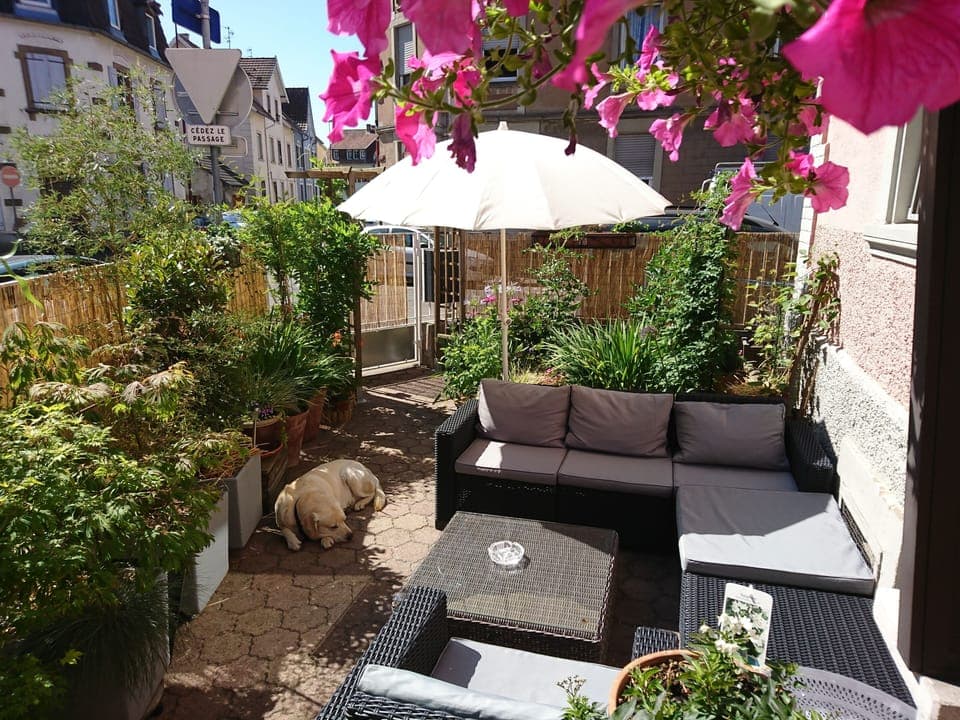 Sunny afternoon on the terrace