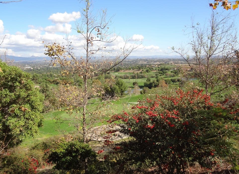 View around Golf Course 