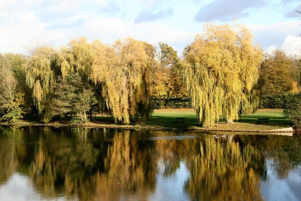 Sit by the Loing River - just 5 minutes walk from the house