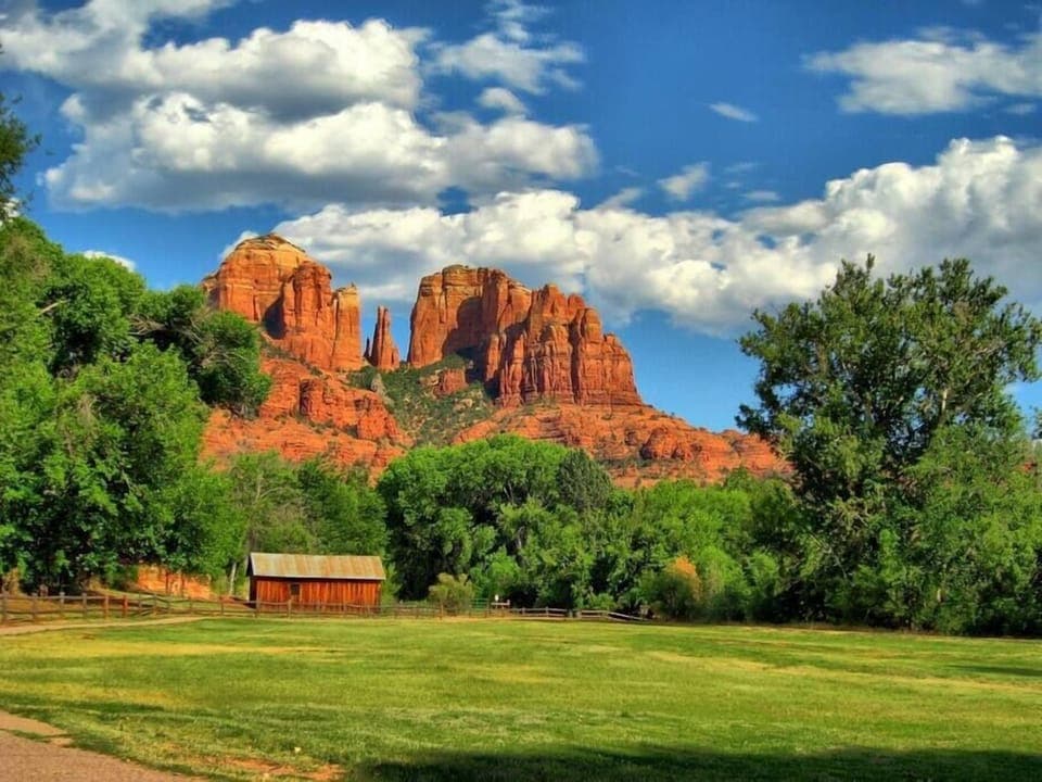 31dddcd1 2f20 4c5c 8159 31cad0df22a0