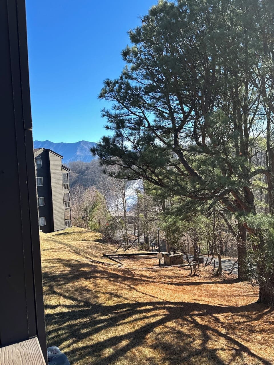 Views from the balcony