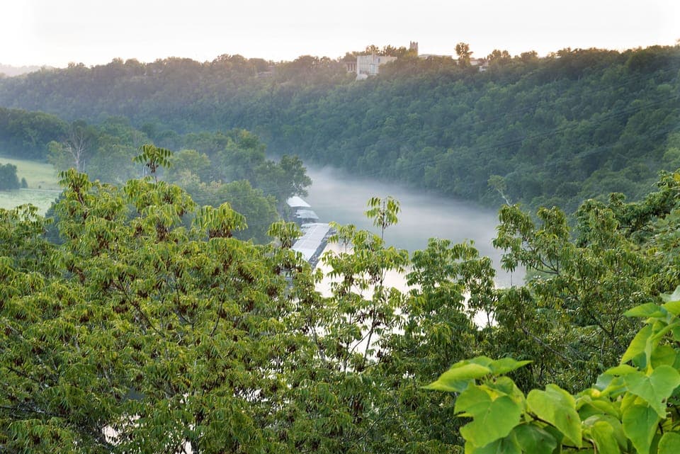 Overlooking the Lake