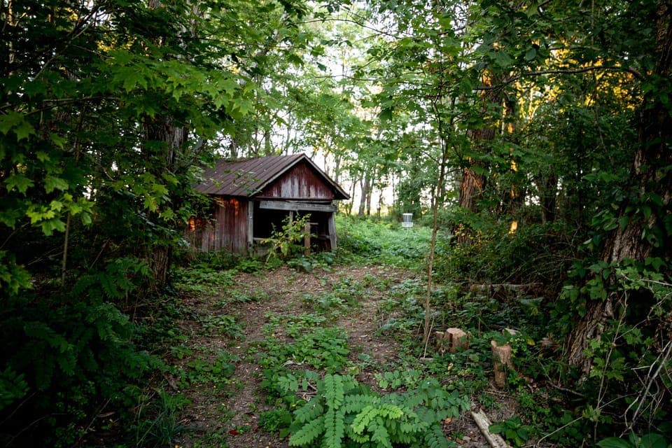 Original shed in the orchard.  Hope to make this bigger someday!