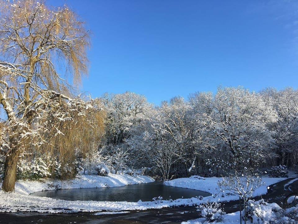Winter at the farm !