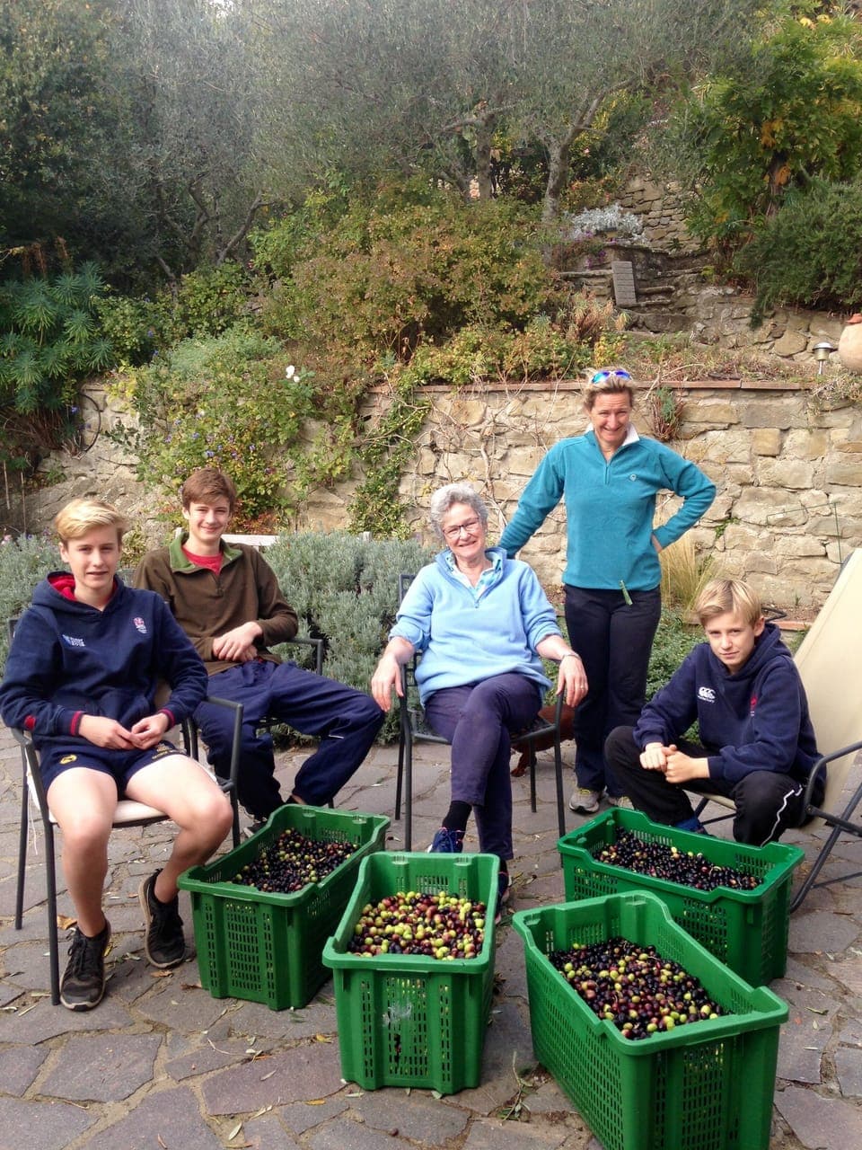 The family help with the picking of the olives.