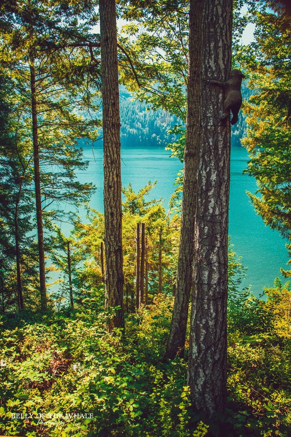 A surreal view of the bay from the back patio.