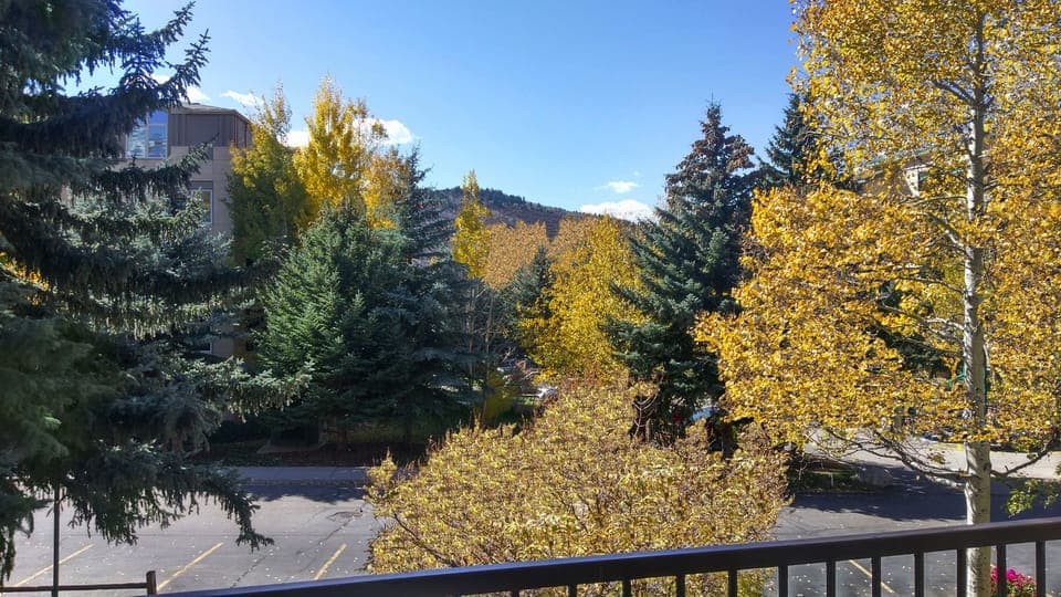 View from balcony