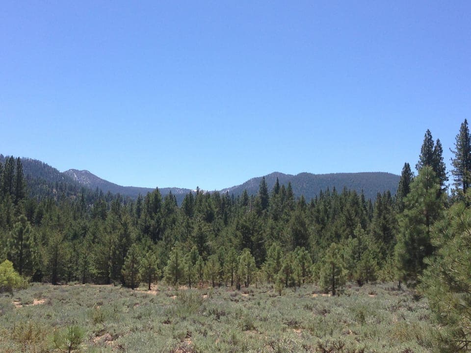 Hiking trails just down the street