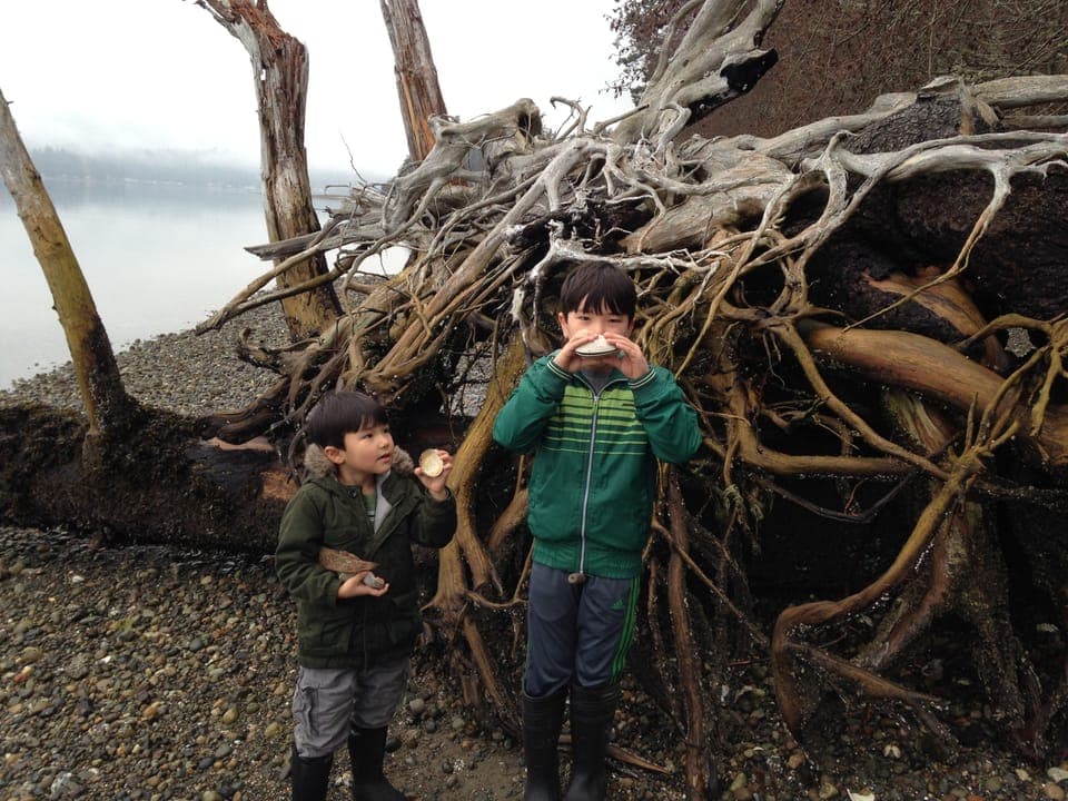 Beach exploration mission along the beach.