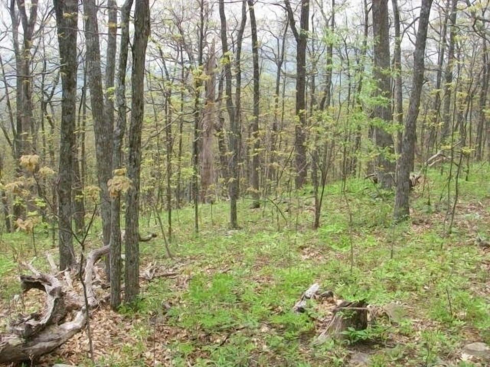 Hiking