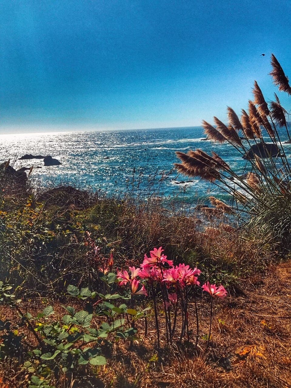 Beauty is all around!