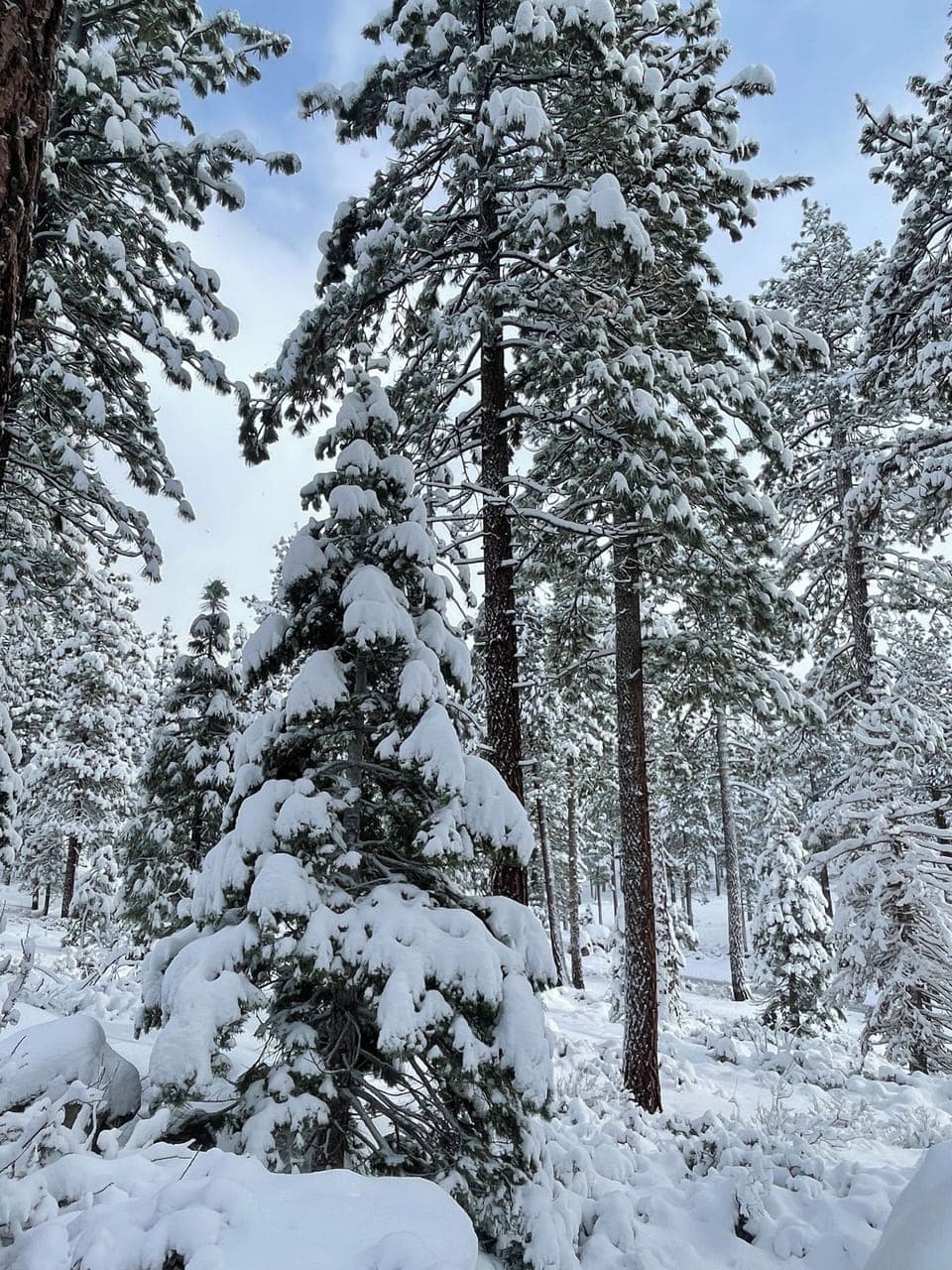 View from front porch