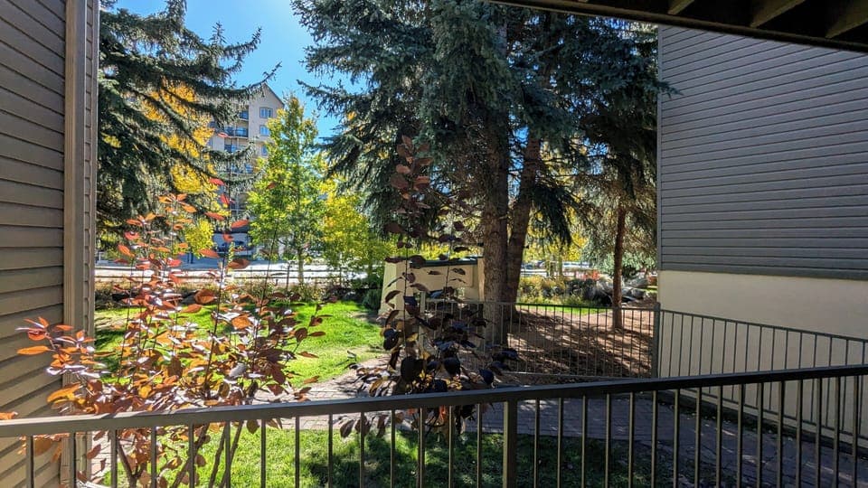 View from patio