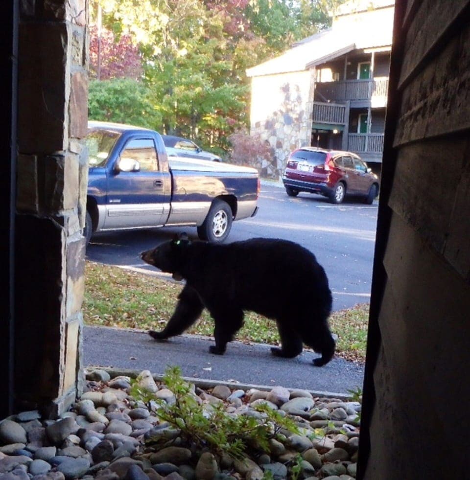 Looking right out your front door!