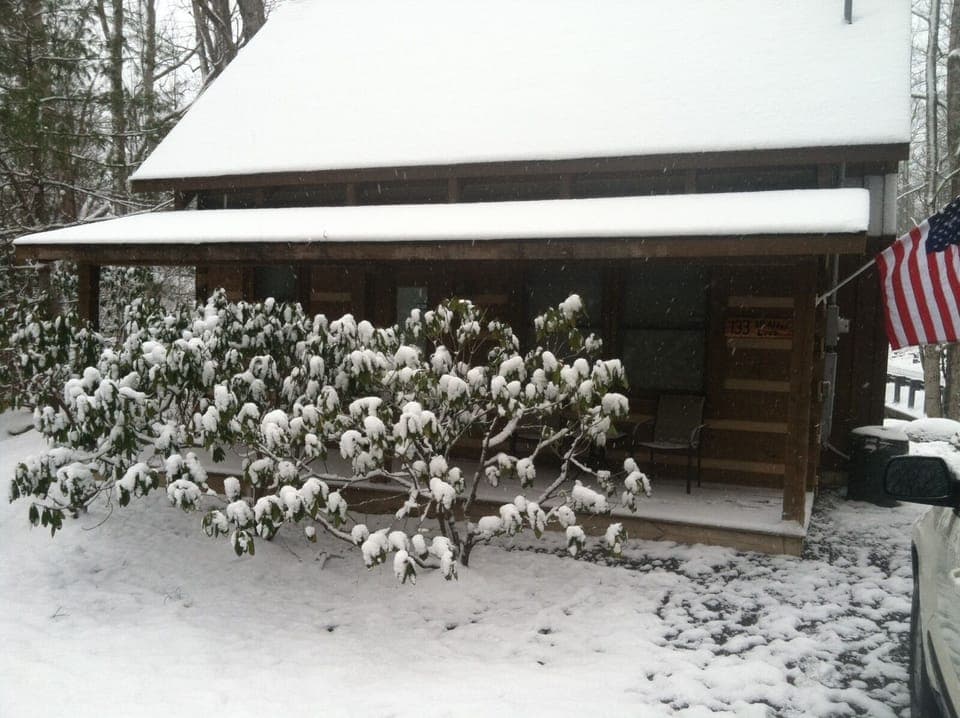 Winter 2013