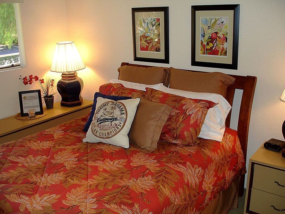 Bedroom faces San Jacinto Mountain, Tommy Bahama comforter and linens, 46" TV