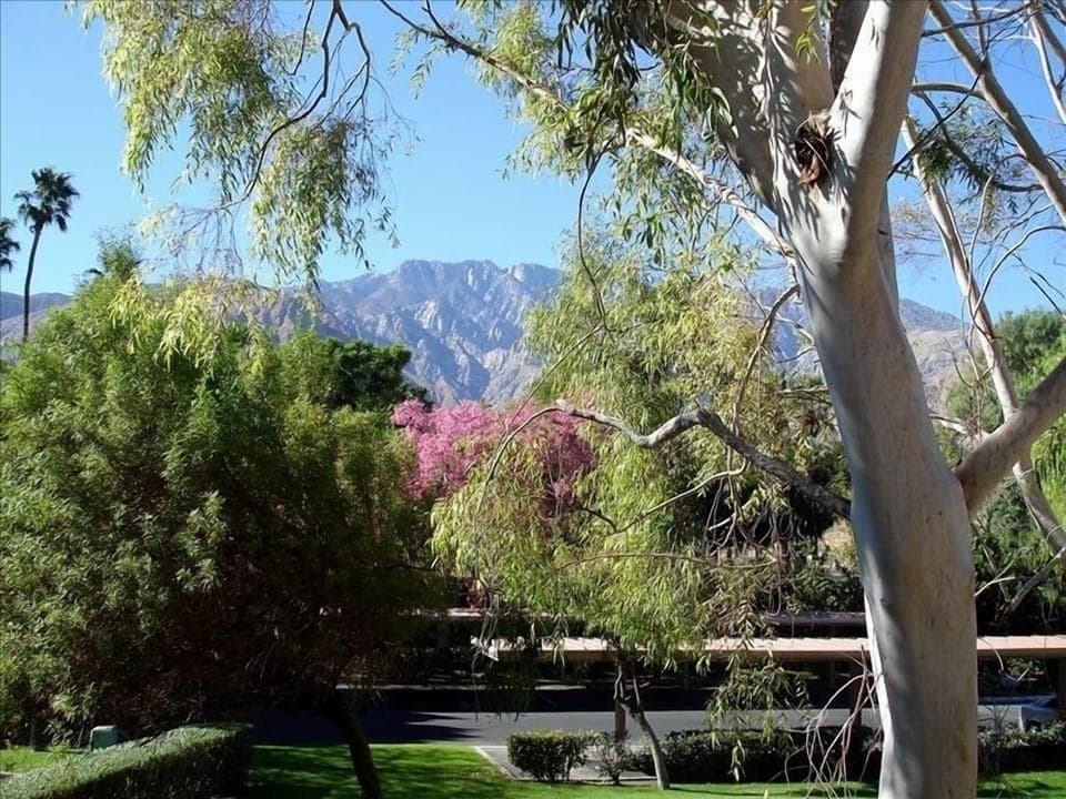 View from balcony, bedroom and living room