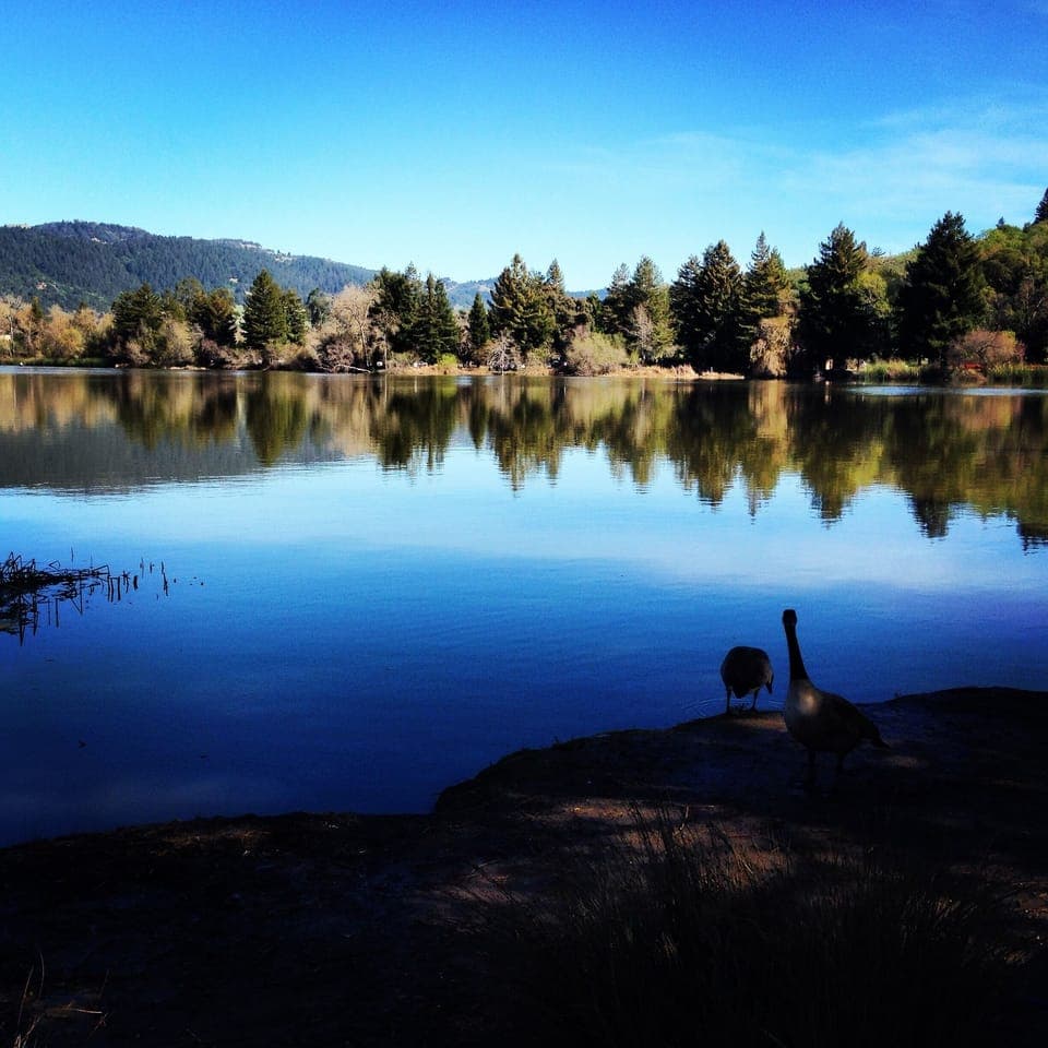 Spring Lake Park, Santa Rosa
