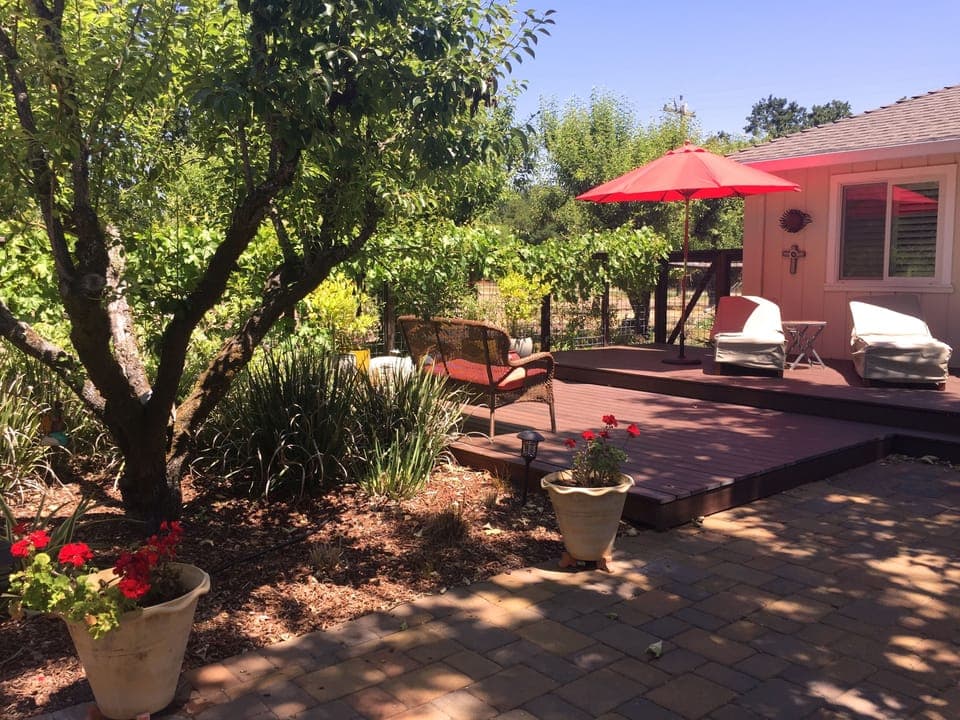Backyard View