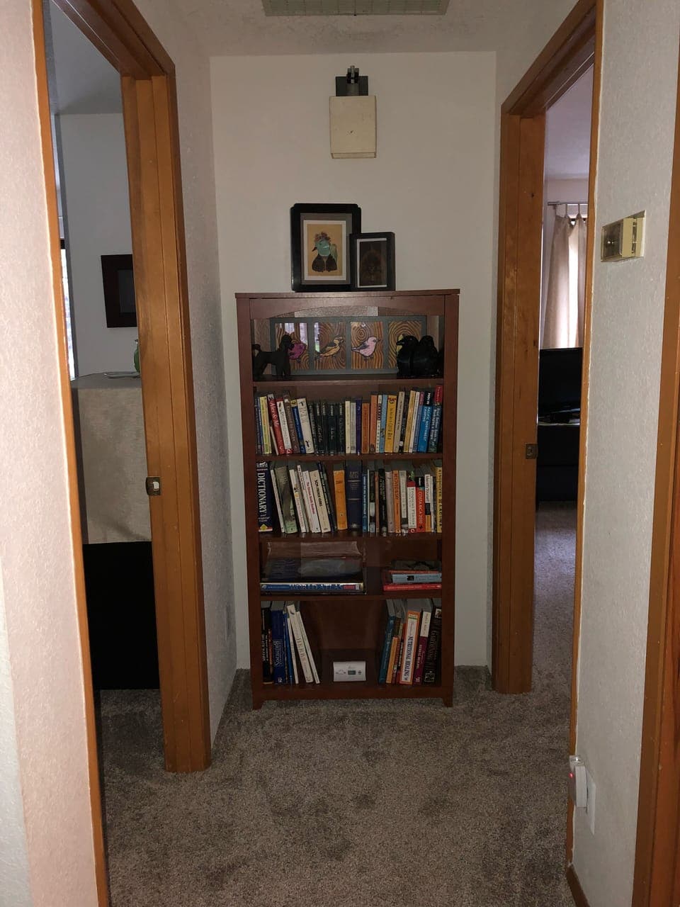 Bookcase in hall with lots of interesting books.