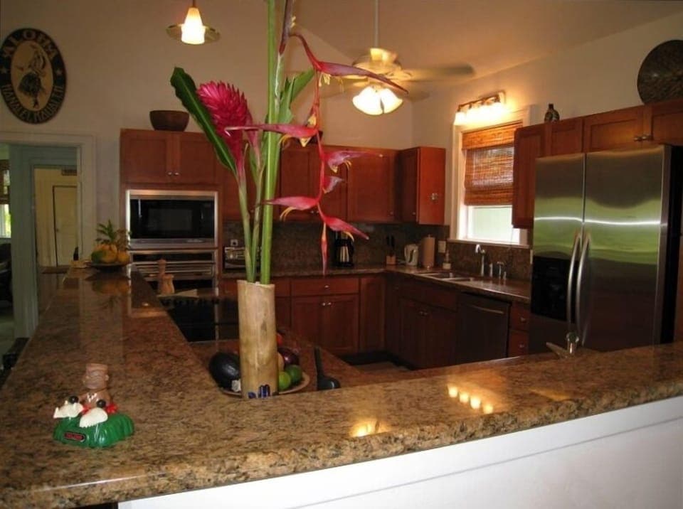 Professional-style kitchen