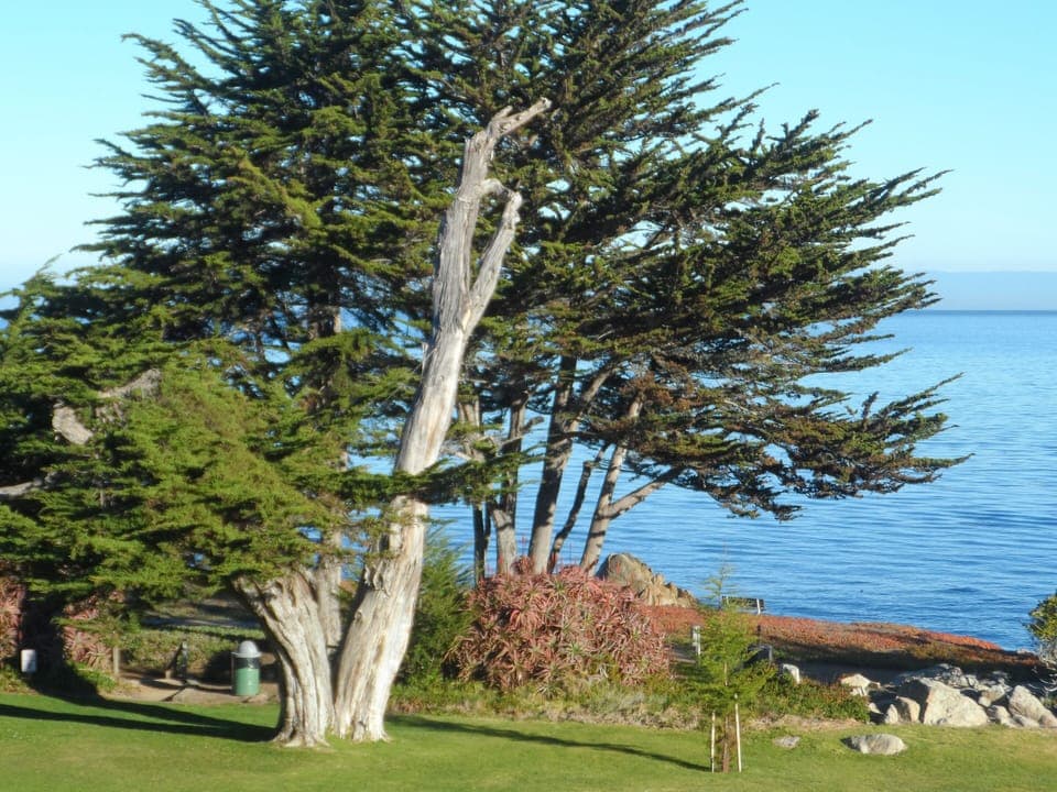 View from living room