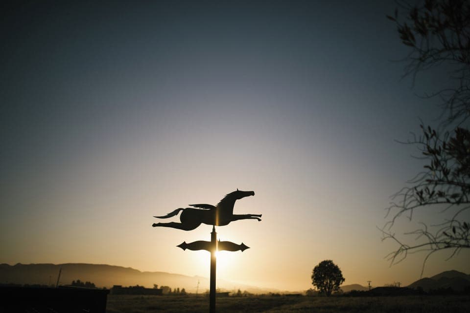 Flying Caballos Sunsets