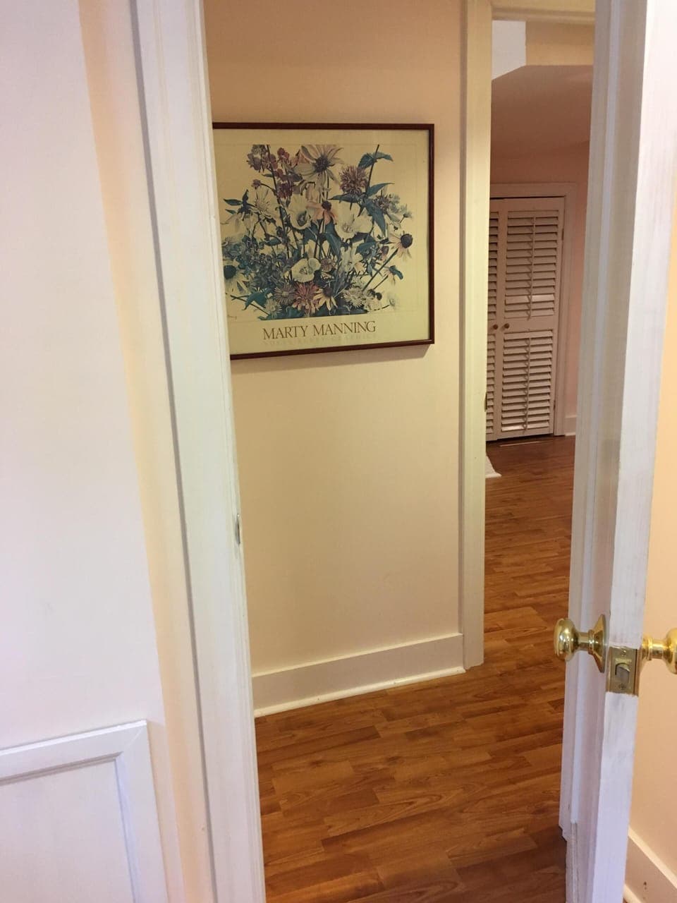 Hallway into apartment