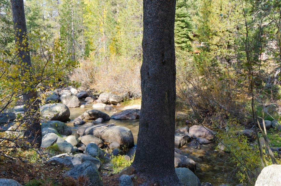 View of Squaw Creek from our hammock in the woods. Stairs go down to the creek.