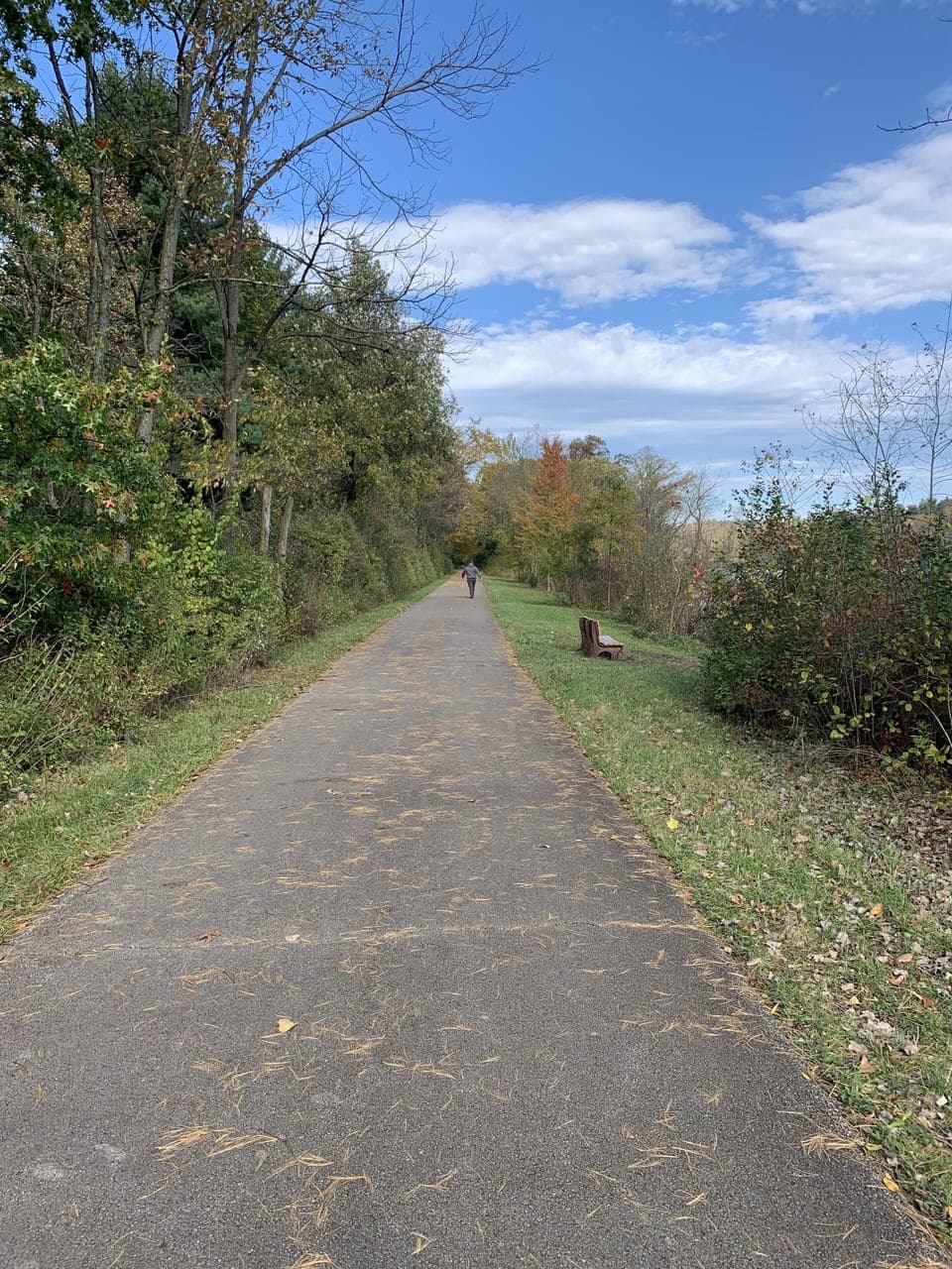 B&O Bike trail - two access points approx. 10 min. away.  Bring your bikes!
