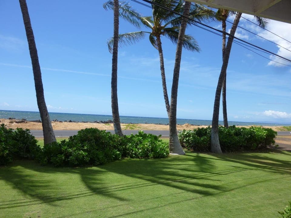 Nestled in a grove of coconut trees...Hale Kekaha Palms Ocean Front