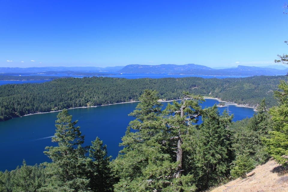 The view from the top of Mt Norman