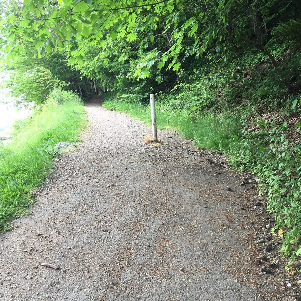hiking trails in Fort Ward Park