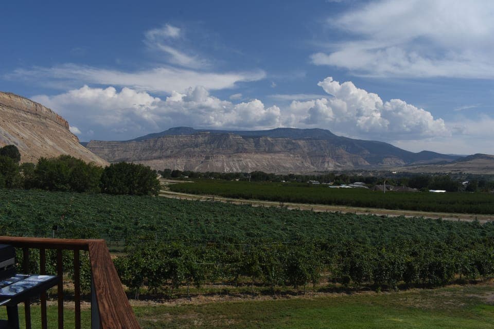 View from property